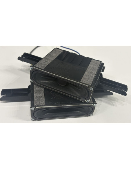 Haut-parleurs TV Samsung UE58J5000AW ref BN61-12092X001