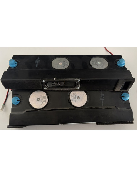 Haut-Parleurs TV Hisense  HLL-5465WD