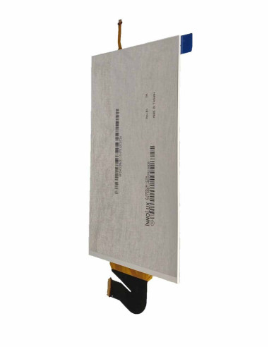 Écran d'affichage LCD Nintendo Switch Lite