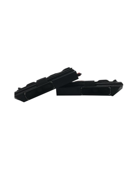 Haut-Parleurs BN96-12837D TV Samsung LE40D550