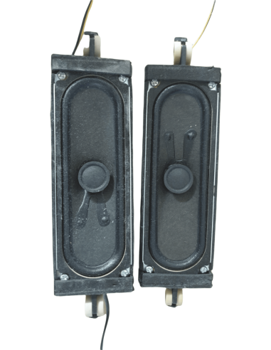 Haut-Parleurs bn96-09463c TV Samsung LE46B620R3P