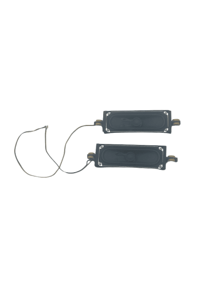 Haut-Parleurs TV Samsung UE58TU6905K ref BN96-09463A