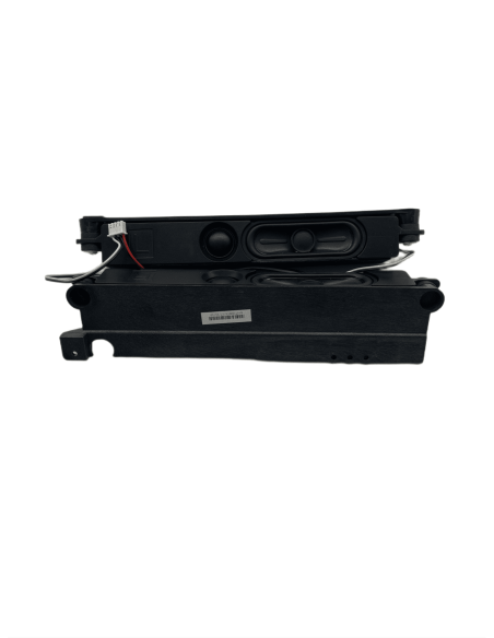 Haut-Parleurs TV Sharp LC-48CFE4042E E060-01216013